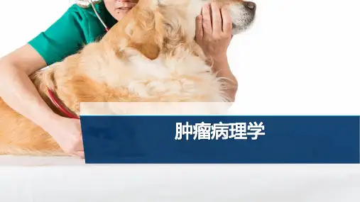 【宠物外产科病课件】肿瘤病理学