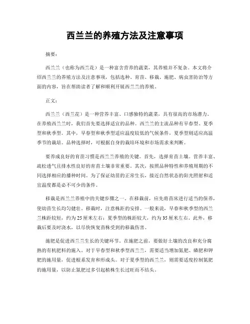 西兰兰的养殖方法及注意事项