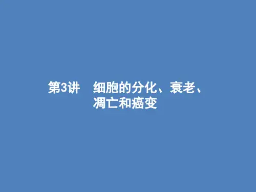 2020版高考一轮复习第4单元第3讲细胞的分化、衰老、凋亡和癌变课件必修1(生物)
