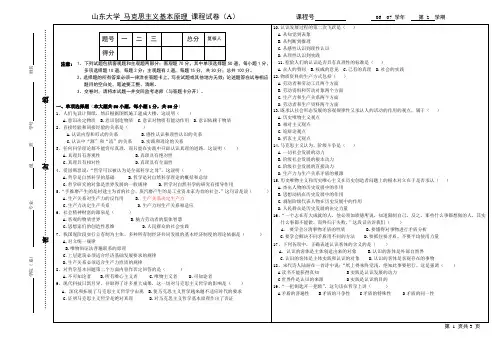 山东大学威海分校马克思主义基本原理试卷a(含答案)