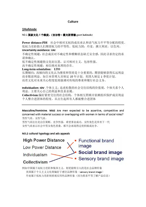 uibe国际营销学 重点总结culture