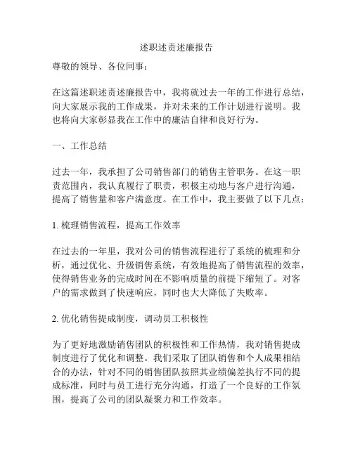 述职述责述廉报告