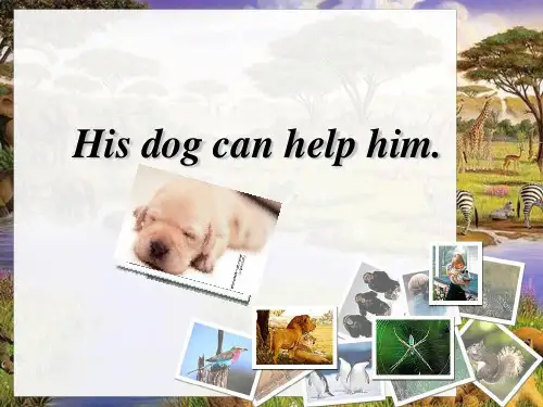外研版一年级起点小学五年级英语上册His dog can help him._课件1