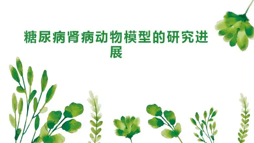 糖尿病肾病动物模型的研究进展