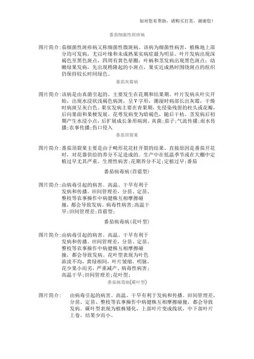 番茄病虫害图谱及防治方法