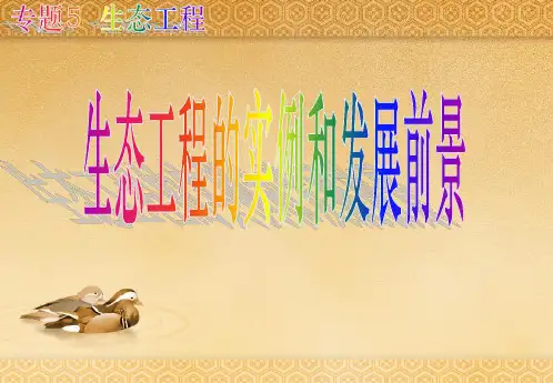 5.2 生态工程的实例和发展前景