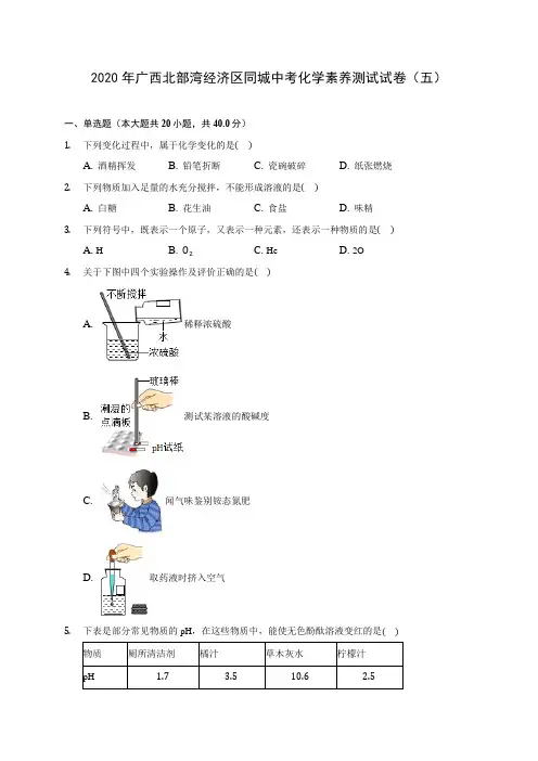 2020年广西北部湾经济区同城中考化学素养测试试卷(五)(含答案解析)