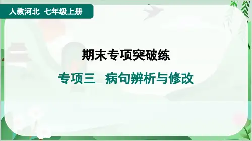 2024年部编版七年级上册语文期末复习专项三 病句辨析与修改