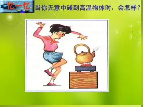 高中生物《第二章 第一节 通过神经系统的调节》课件2 新人教版必修3