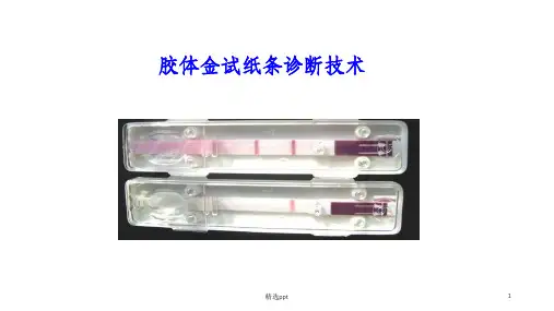 胶体金试纸条检测技术PPT课件