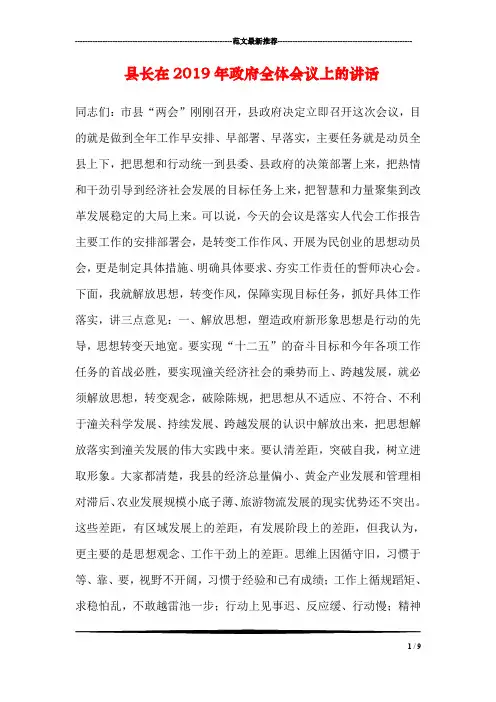 县长在2019年政府全体会议上的讲话