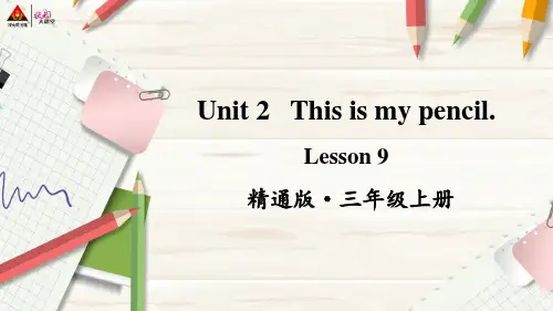 2023年精通版三年级英语上册Lesson 9
