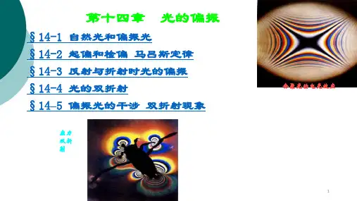 大学物理 光的偏振