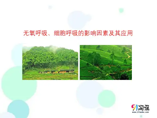 课件12：5.3.2 无氧呼吸、细胞呼吸的影响因素及其应用