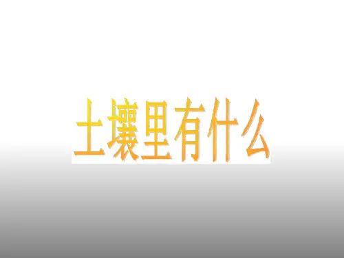 2017最新小学科学人教版《土壤里有什么》课件.ppt