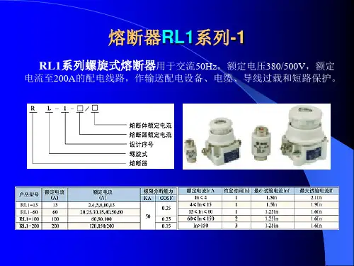 熔断器精品PPT课件
