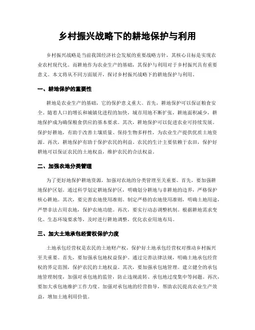 乡村振兴战略下的耕地保护与利用