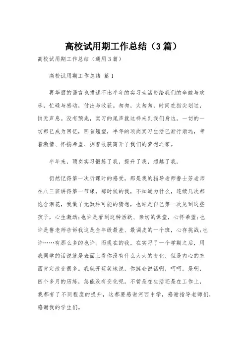 高校试用期工作总结(3篇)