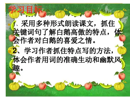 白鹅PPT课件.ppt