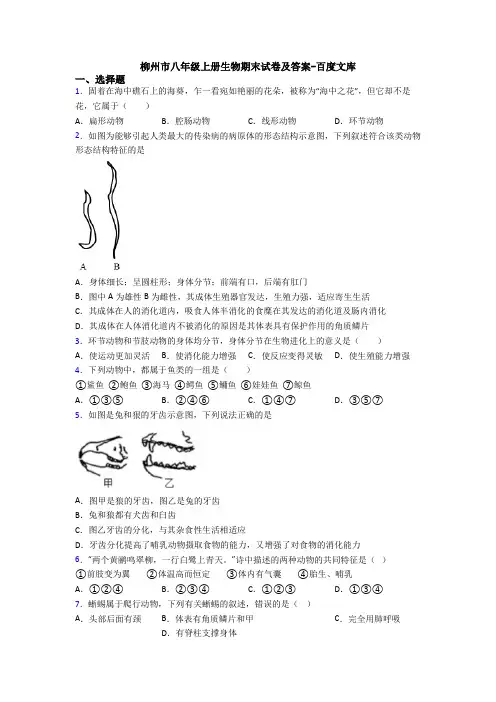 柳州市八年级上册生物期末试卷及答案-百度文库