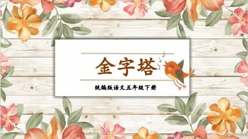 20《金字塔》课件(共34张PPT)