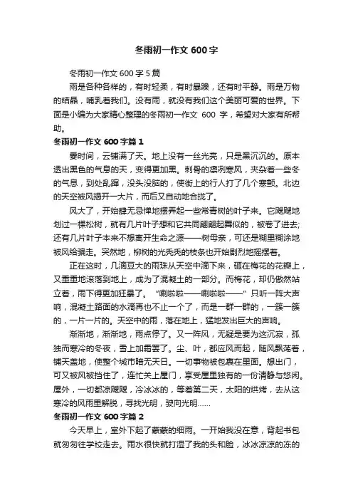 冬雨初一作文600字5篇