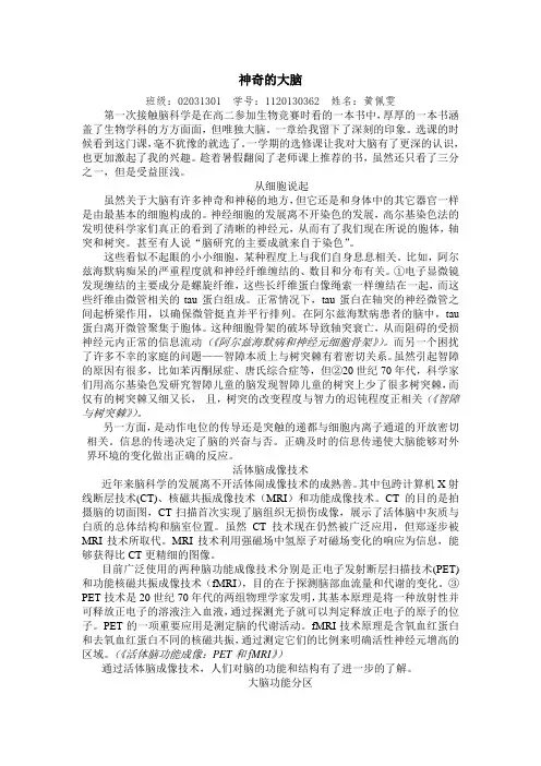 神奇的大脑