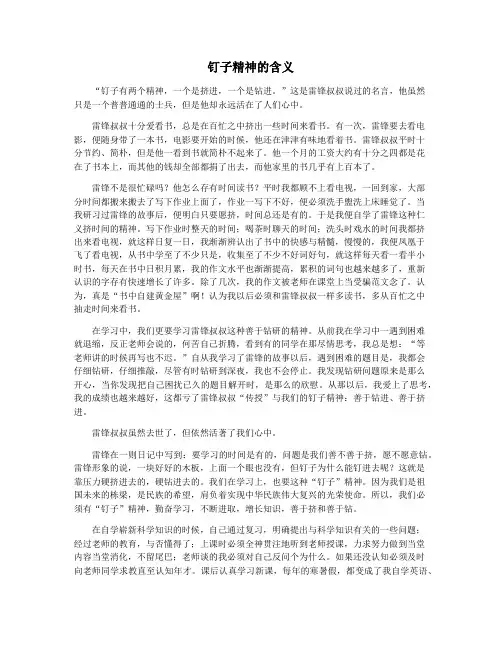 钉子精神的含义