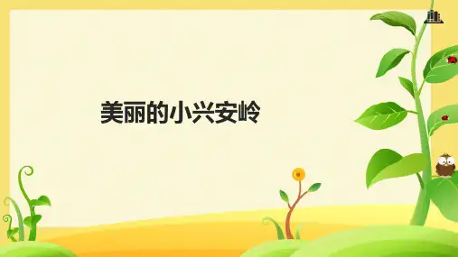 20.《美丽的小兴安岭》课件(共22张PPT)