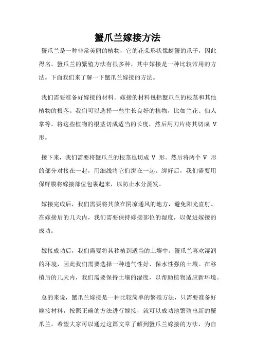 蟹爪兰嫁接方法