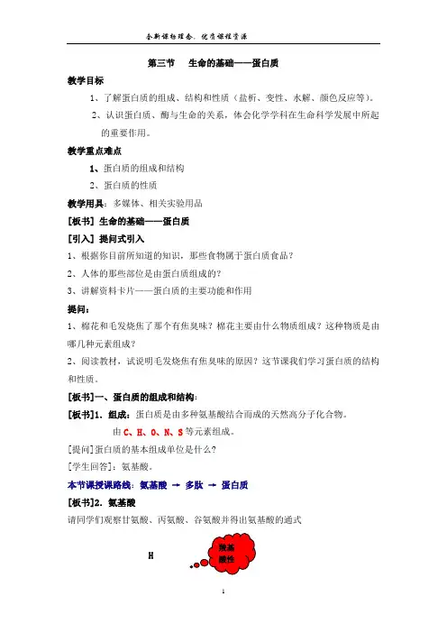 第三节 生命的基础 蛋白质