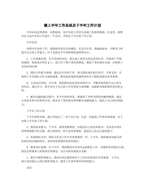 镇上半年工作总结及下半年工作计划