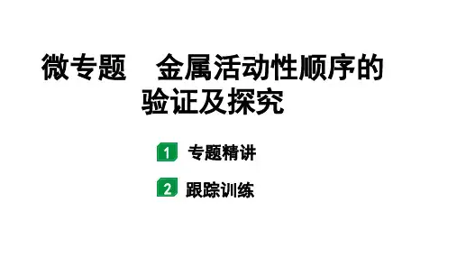 2024山东中考化学二轮专题复习 微专题 金属活动性顺序的验证及探究(课件)