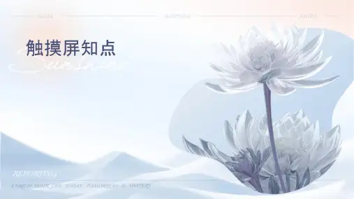 触摸屏知识简介要点课件