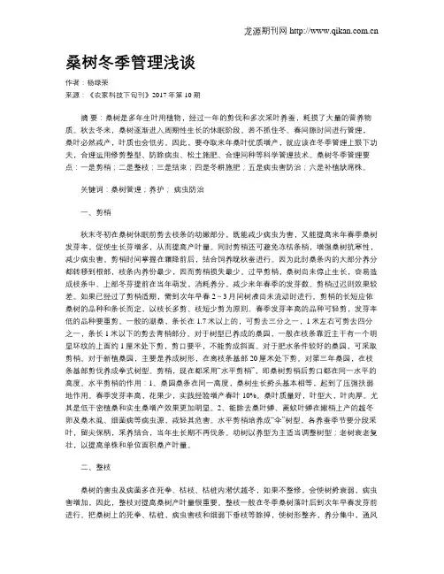 桑树冬季管理浅谈