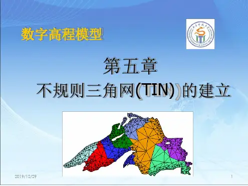 不规则三角网TIN的建立