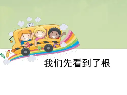 《我们先看到了根》植物的生长变化 图文