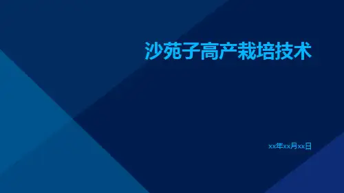 沙苑子高产栽培技术