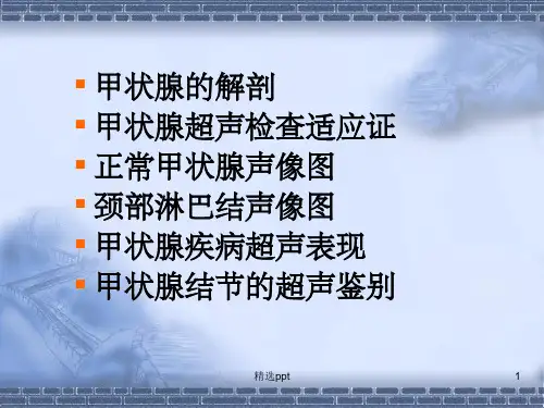甲状腺B超检查讲解ppt课件