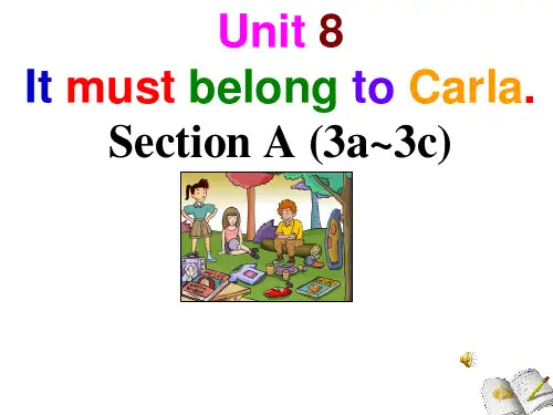 人教版英语九年级全一册Unit8 Section A 3a---3c课件