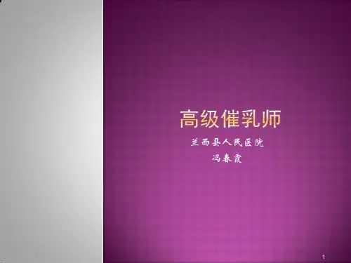催乳师ppt课件
