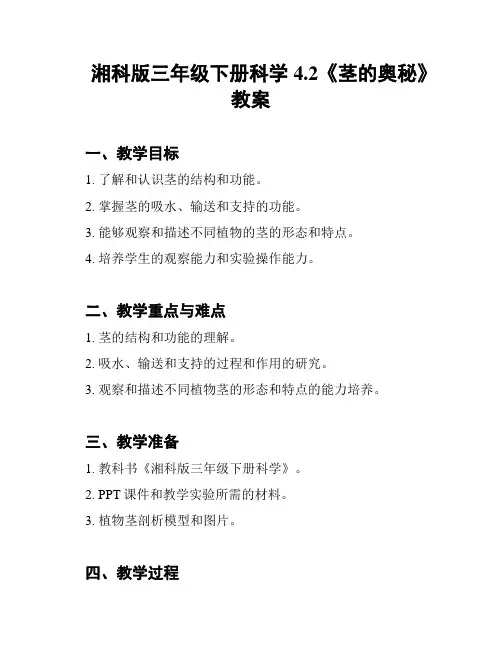 湘科版三年级下册科学4