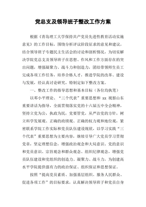 党总支及领导班子整改工作方案