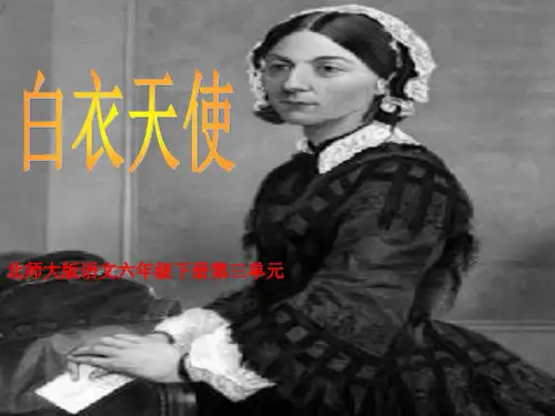 白衣天使课件