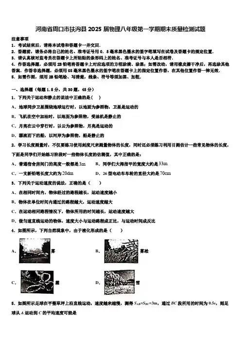 河南省周口市扶沟县2025届物理八年级第一学期期末质量检测试题含解析
