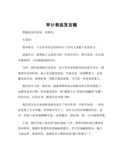 审计表态发言稿