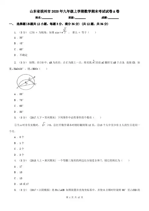 山东省滨州市2020年九年级上学期数学期末考试试卷A卷