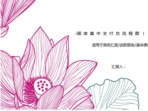 国库集中支付总及流程图(PPT35页)