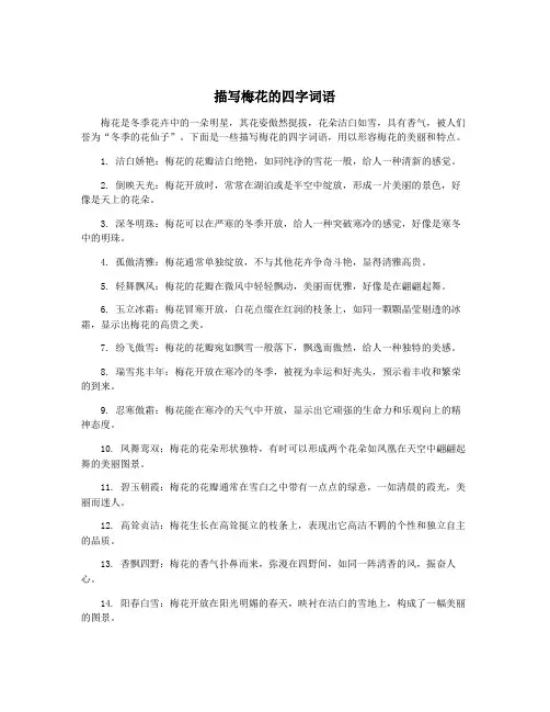 描写梅花的四字词语