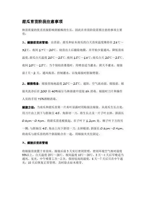 甜瓜育苗阶段注意事项